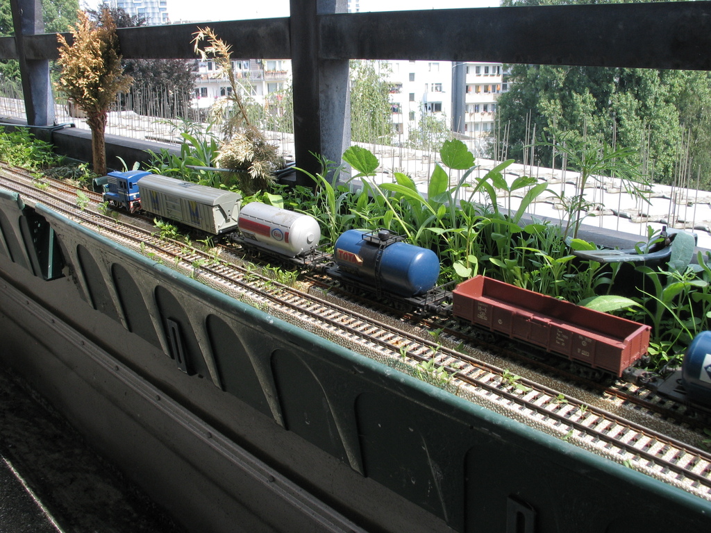 Güterzug im Blumenkasten